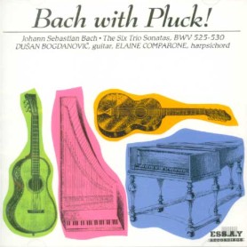 Bach with Pluck!