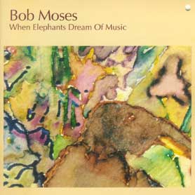 When Elephants Dream of Music