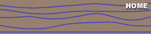 Return to Home Page